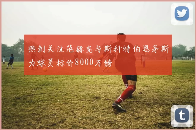热刺关注范赫克与斯科特伯恩茅斯为球员标价8000万镑